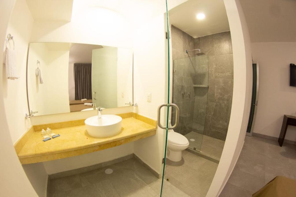 HOTEL REFORMA 14 photo 4