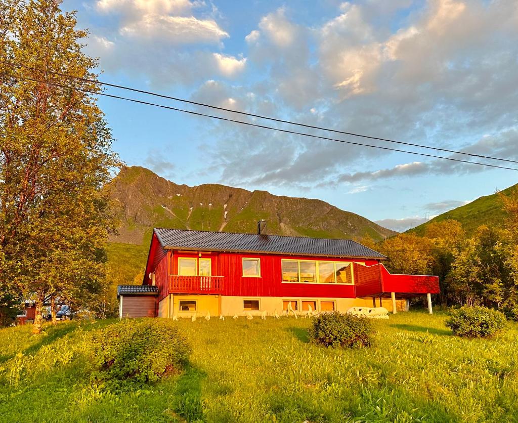 Lofoten Red Villa photo 1