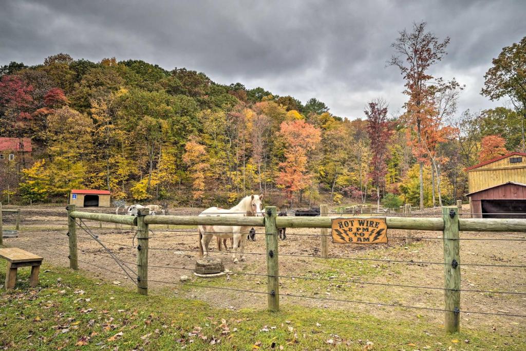 Lone Ranger Cabin with 50 Acres by Raystown Lake photo 3