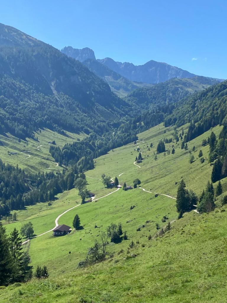 Landgasthof Dorfstadl photo 1