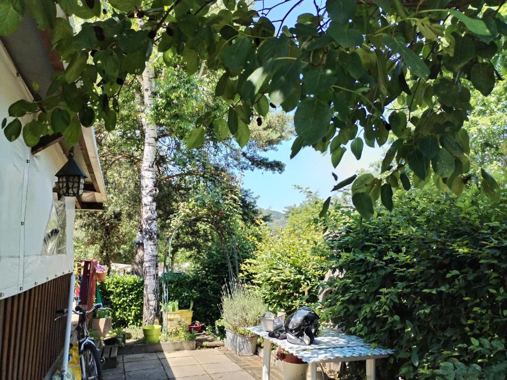mobile home aux Rives D'Aurec