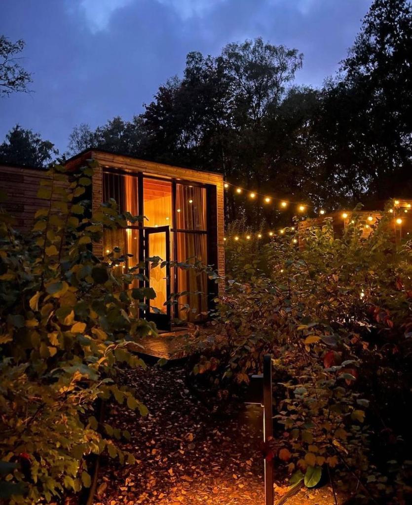 Tiny Dream House photo 2