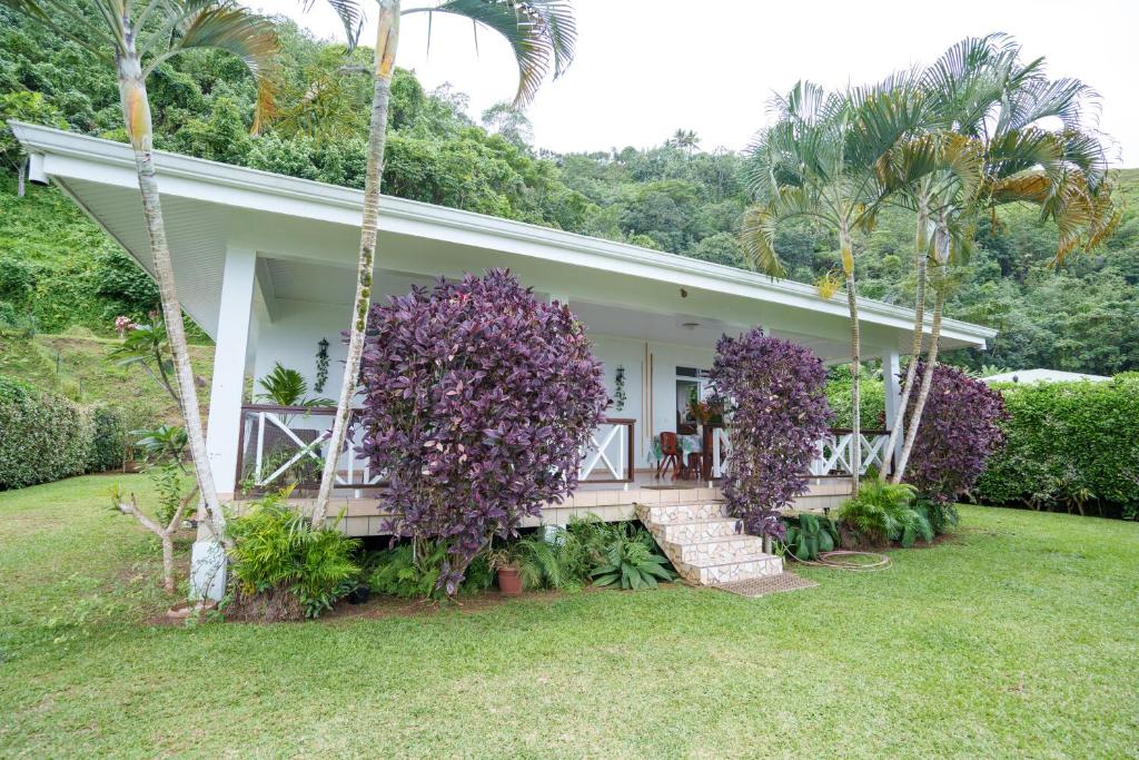 Noha Lodge photo 2
