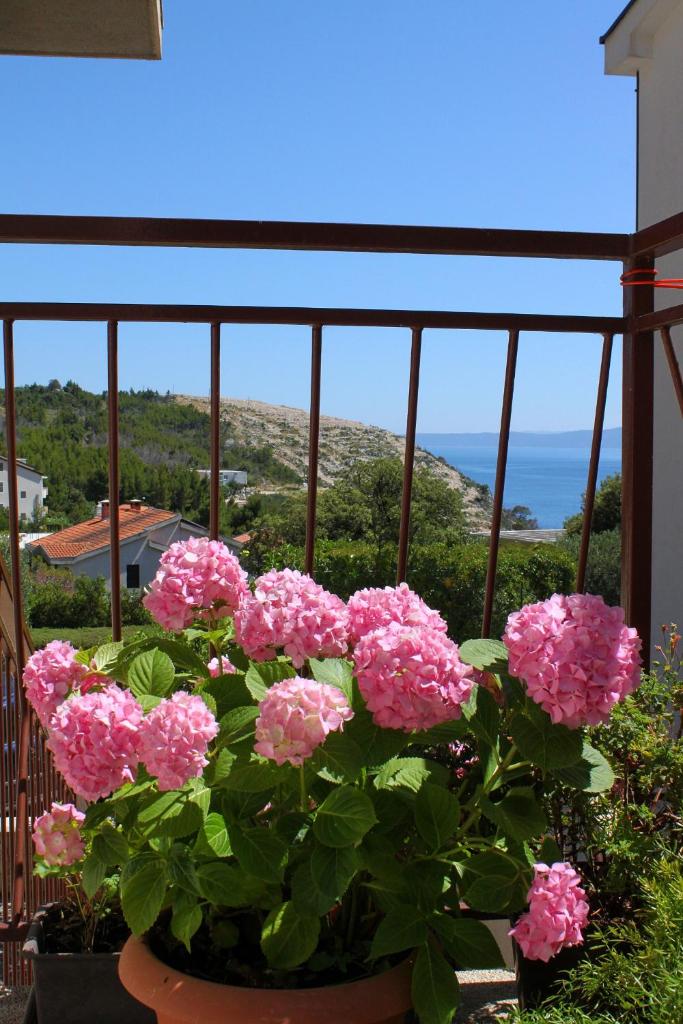 Apartments with a parking space Krvavica, Makarska - 6749 photo 4