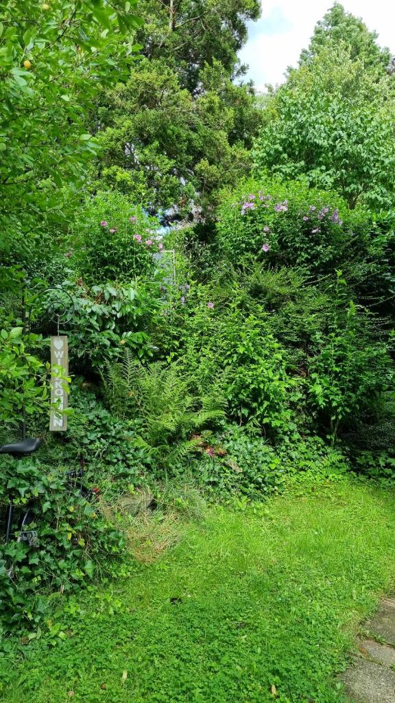 Hüschelrath gemütlich Natur photo 4