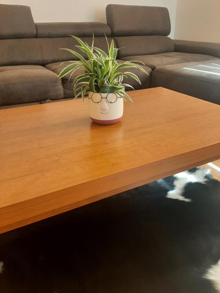 Ime Ruze apartmani Banja Vrujci photo 3