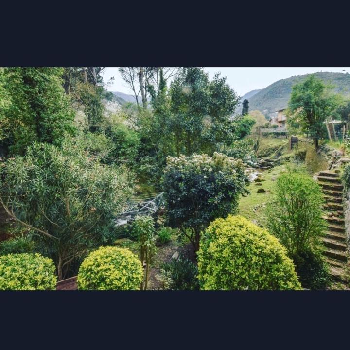 Villa Iolanda Vorno Lucca photo 3