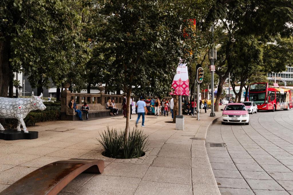 Sonder Las Alas photo 4