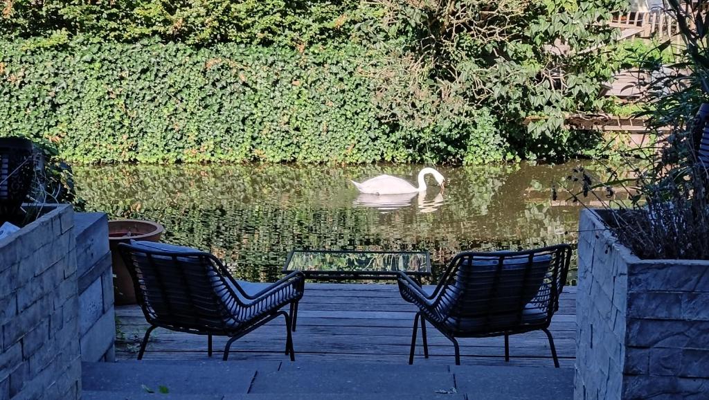 Canal Garden Apartment StayWell Amsterdam photo 1