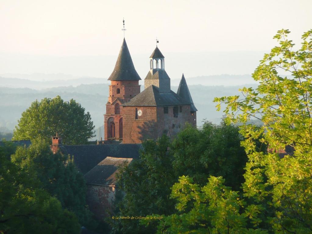 La Mérelle de Collonges la Rouge photo 3
