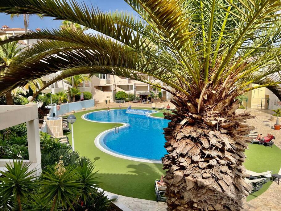 Chayofa Sunset Apartment, Wi-fi and Swimming Pool photo 1