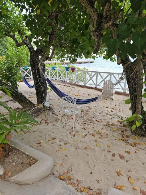 Beachfront Luxe Apt photo 3