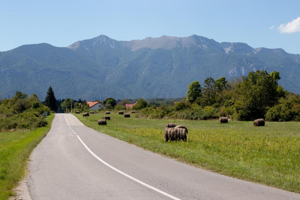 Lucija photo 3