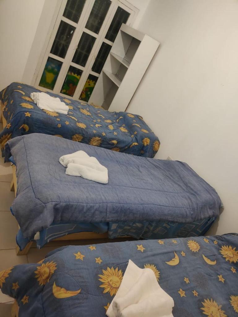 HOSTAL DE PARQUE photo 4