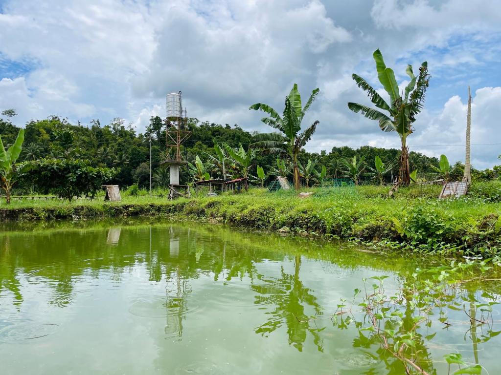 Jazz Ferme Inn Batuan Bohol photo 2