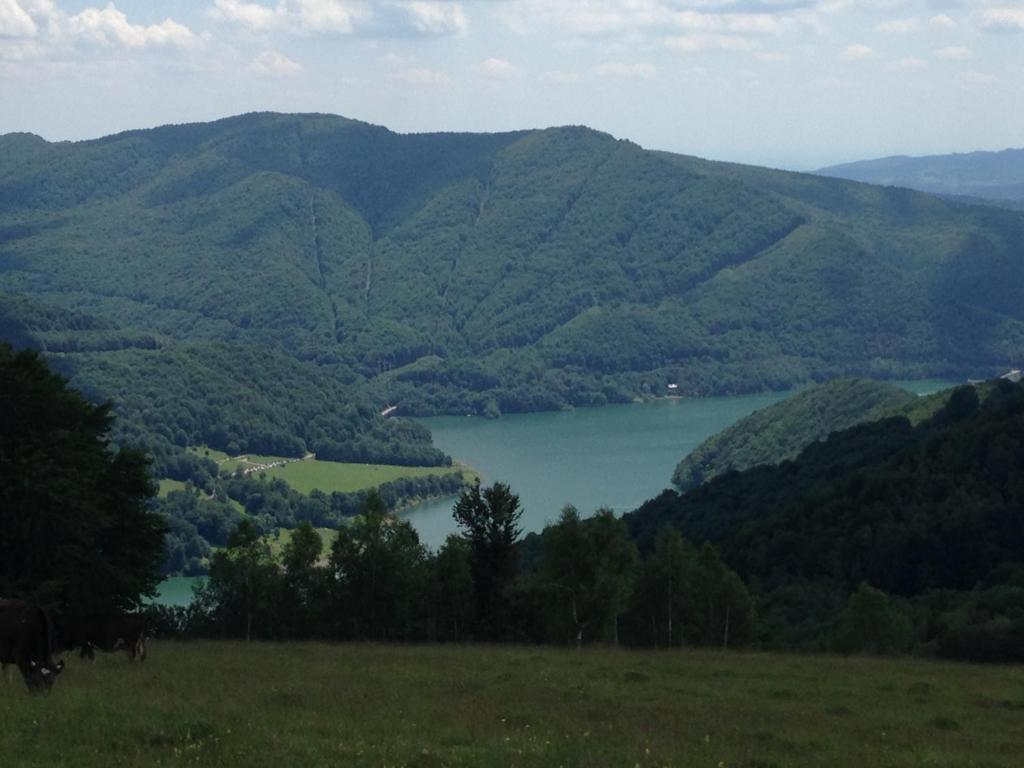 Вилла (Вилла с 5 спальнями), Cabana Valea Floreiului