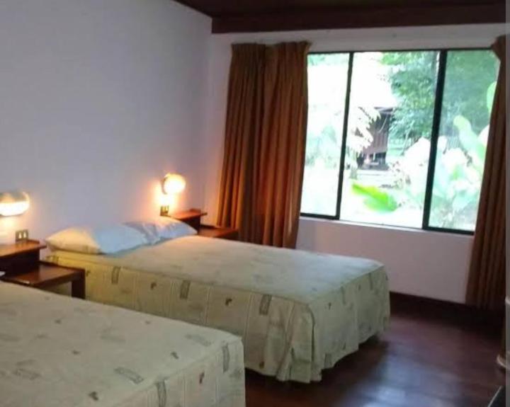 Lodge del Abuelo - Divina Montaña