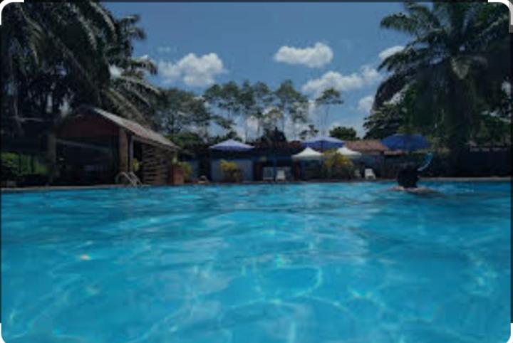 Lodge del Abuelo - Divina Montaña photo 1