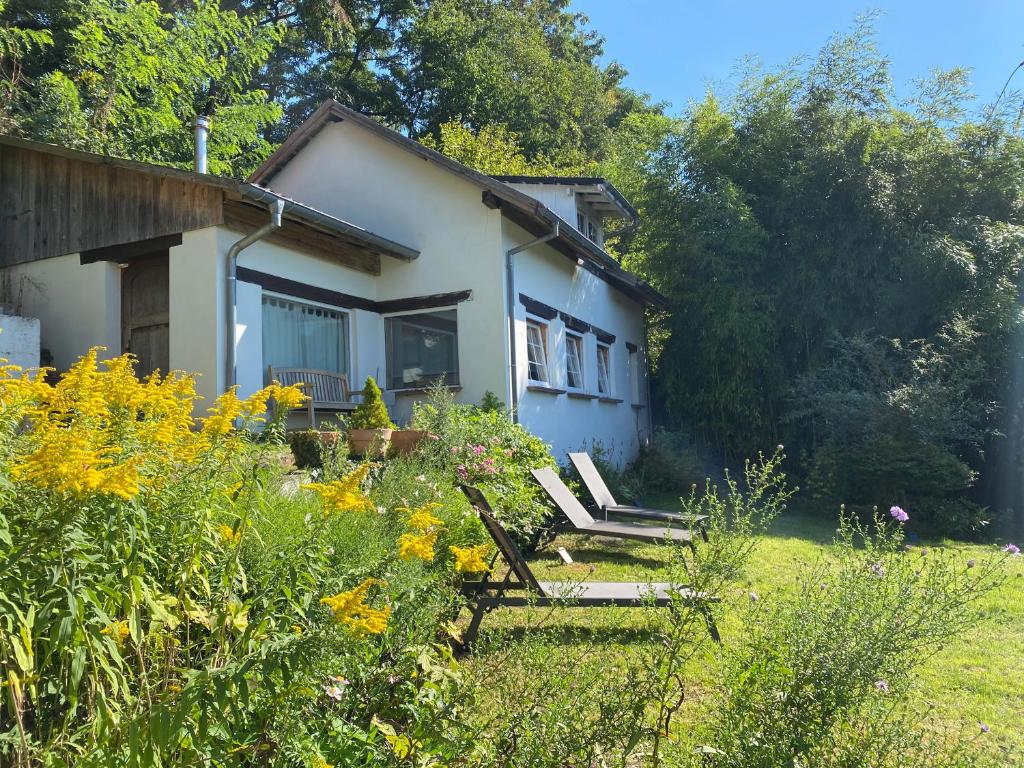 La Dependance de la Villa des Oiseaux - La Petite Pierre photo 4