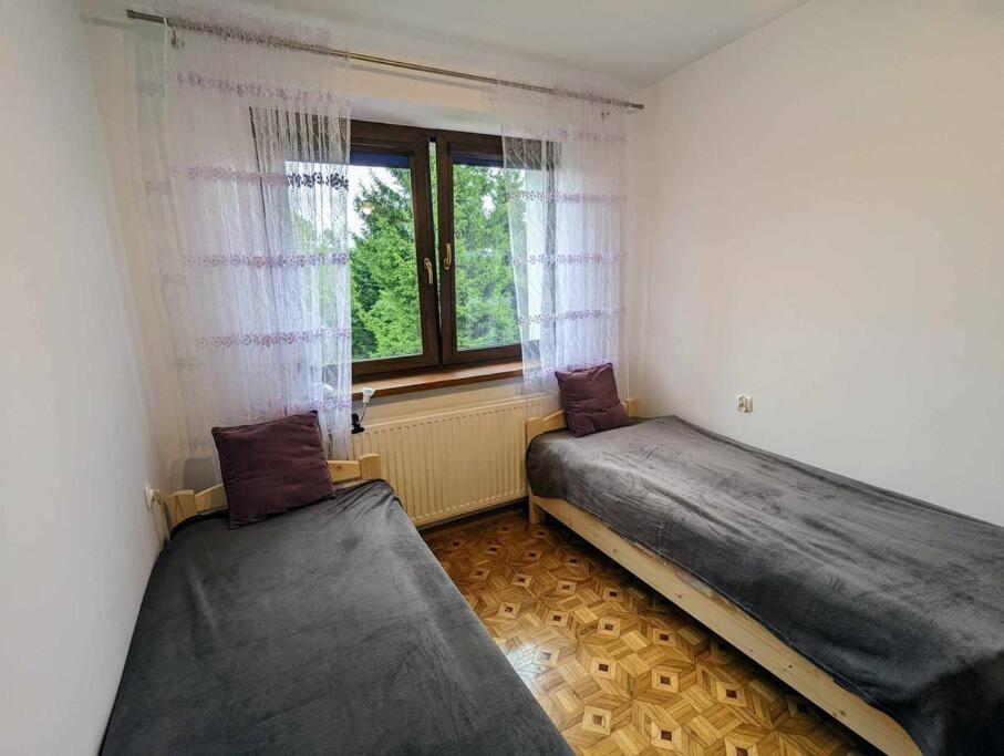 Guest House close to Molo Resort photo 4