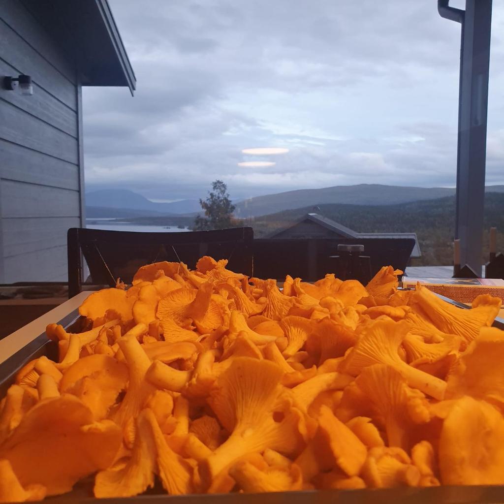 Tärnaby Ry Vy photo 1