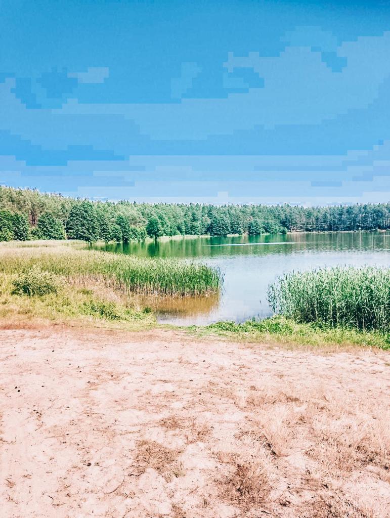 Lawendowy Poranek photo 1