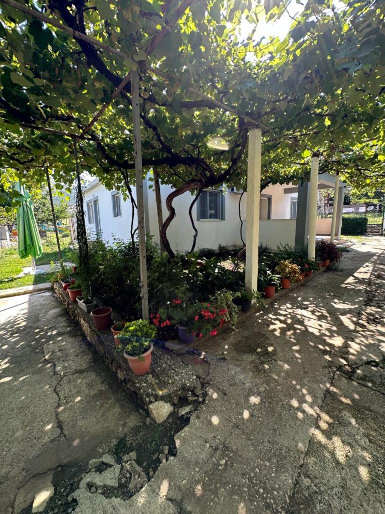 progon house photo 3