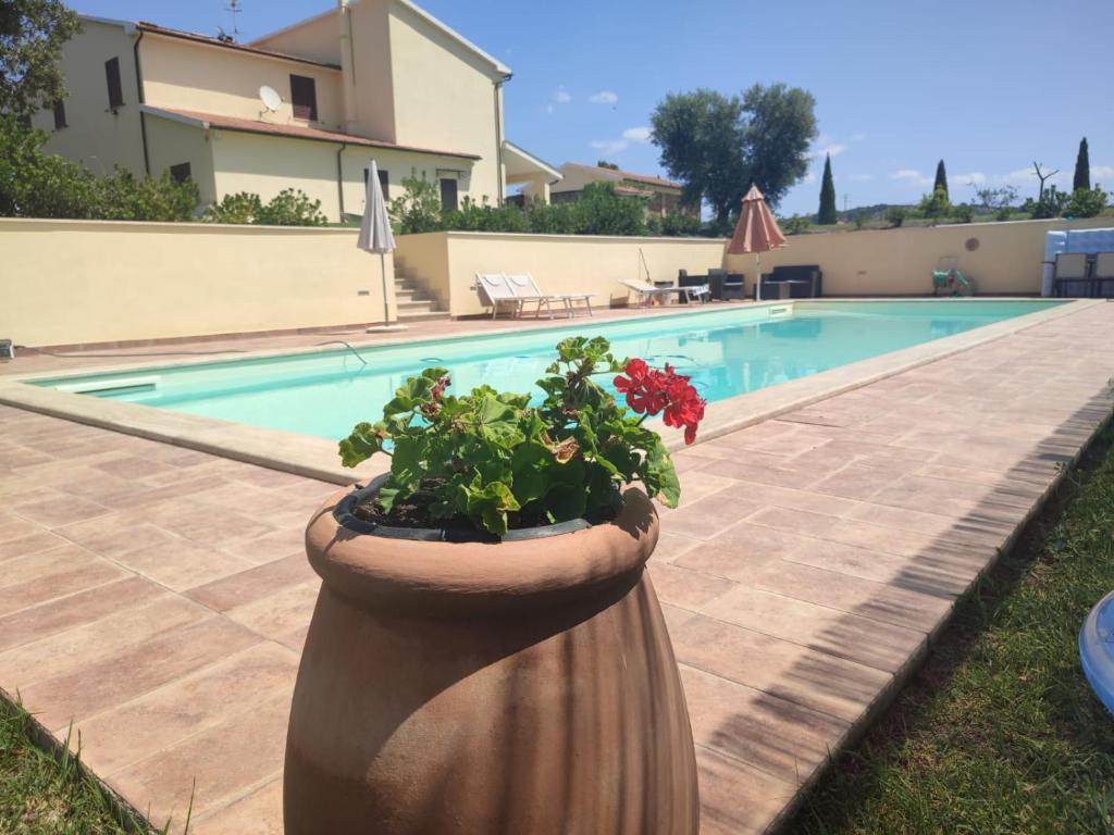 Agriturismo Il Poggio Rosso di Maremma photo 2