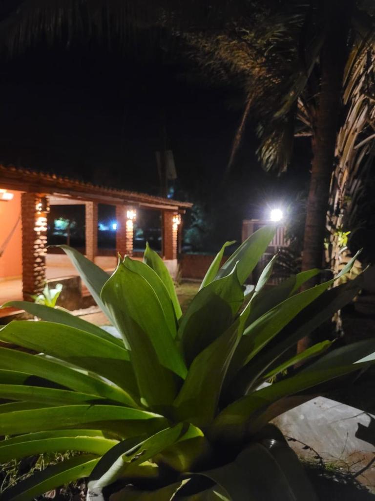 Perobas beach house photo 1
