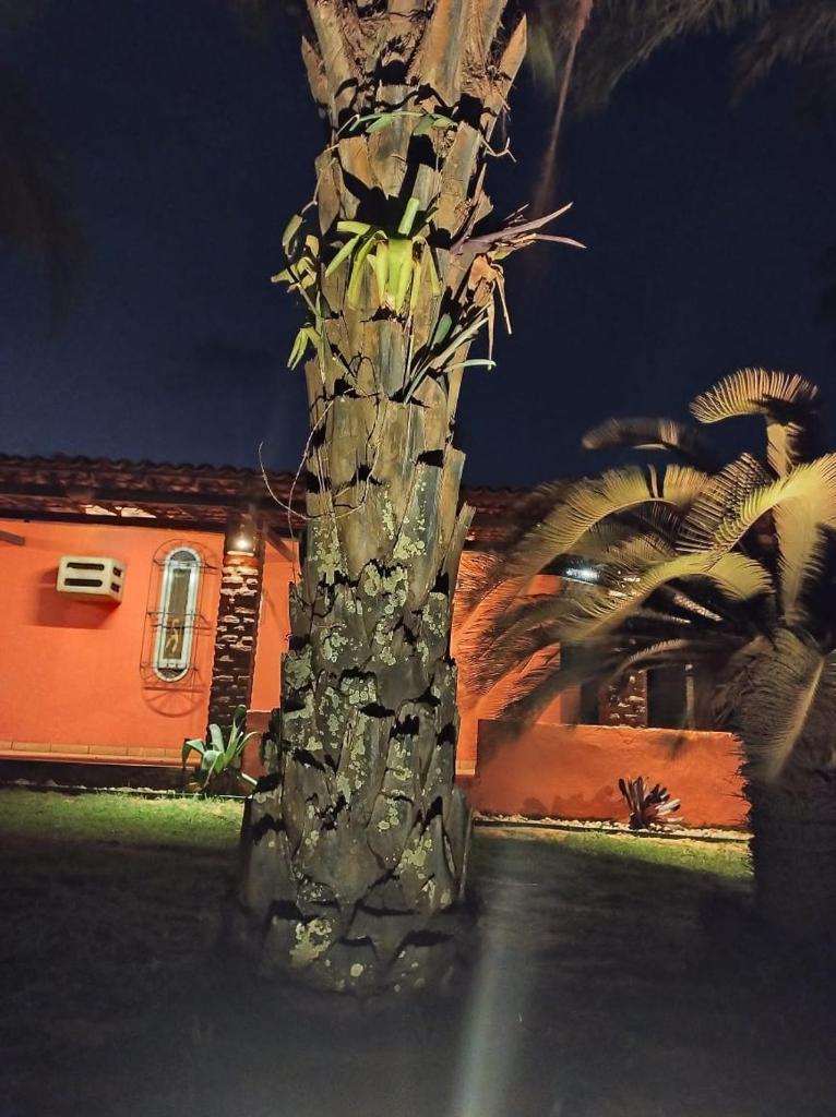 Perobas beach house photo 3