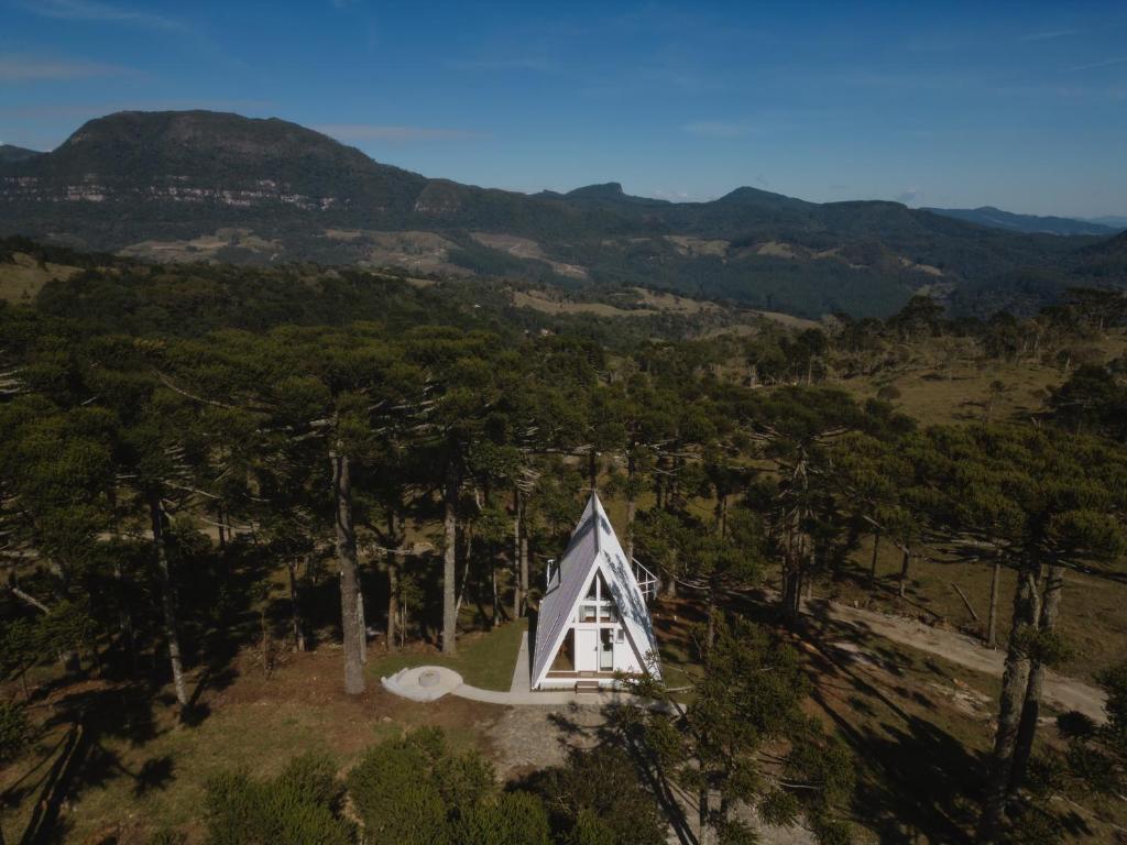 Campo das Araucarias photo 1
