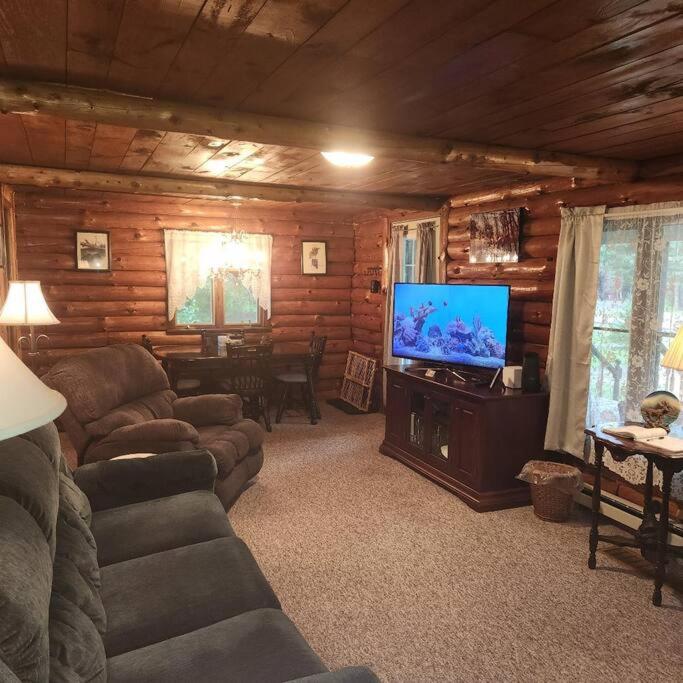 Cozy Rustic Forestport Cabin: Adirondack Getaway: image