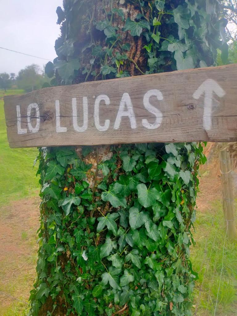 Cabaña pasiega LO LUCAS 1920 photo 3