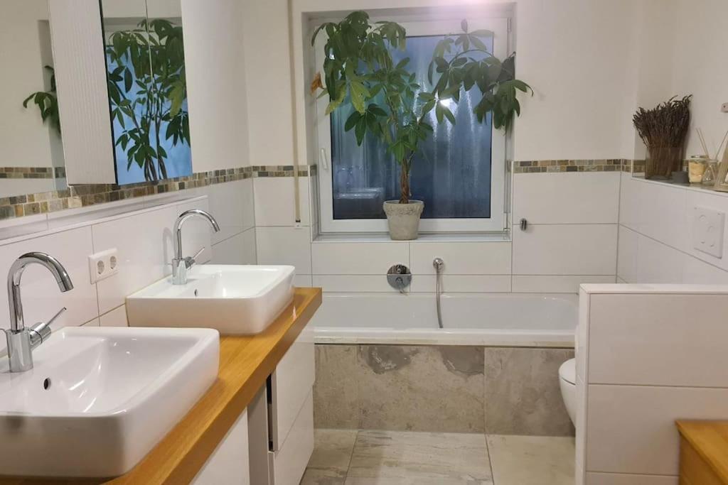 Exklusive Wohnung mit herrlicher Terrasse und Garten photo 3