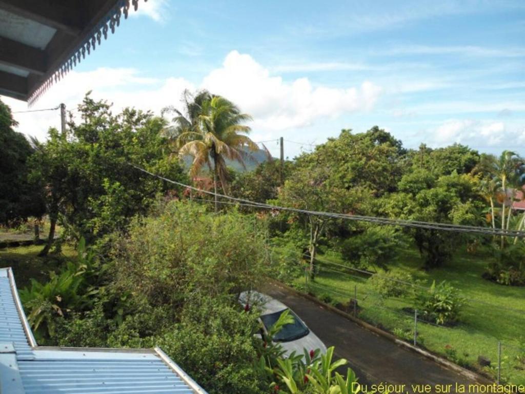 Appartement "Au Cœur du Parc Tropical" photo 3