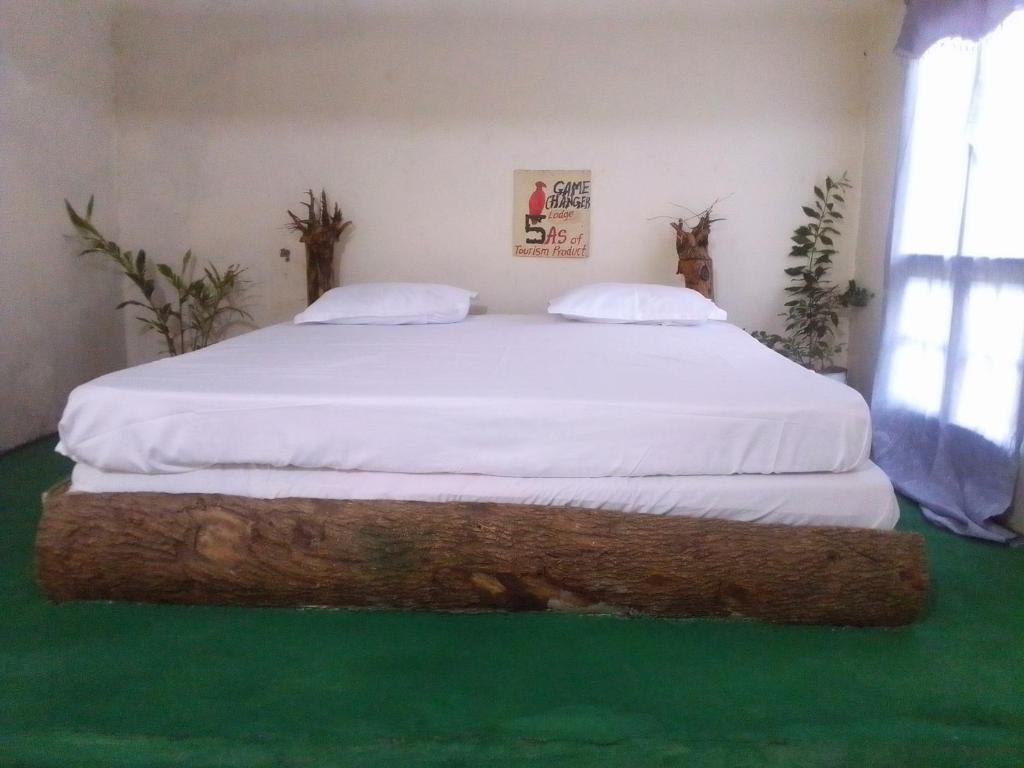 GAMECHANGERSLODGE-safari photo 2