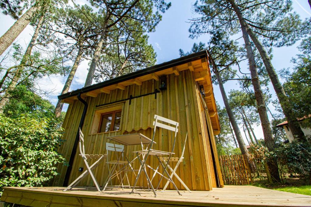 Cabane forêt proche plage photo 1