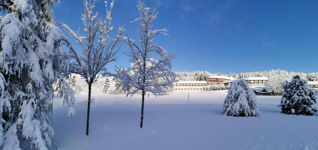 L'ESCANDILLE Village Vacances photo 1