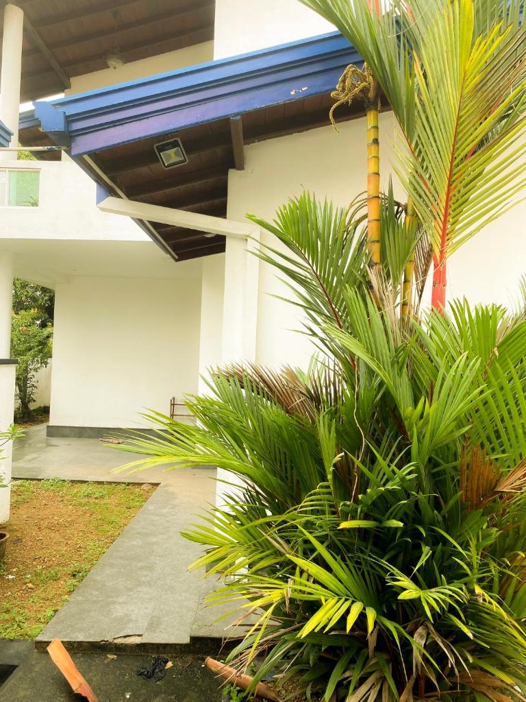 Tara Villa