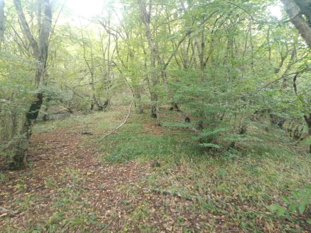 Camping Eagle Canyon photo 2