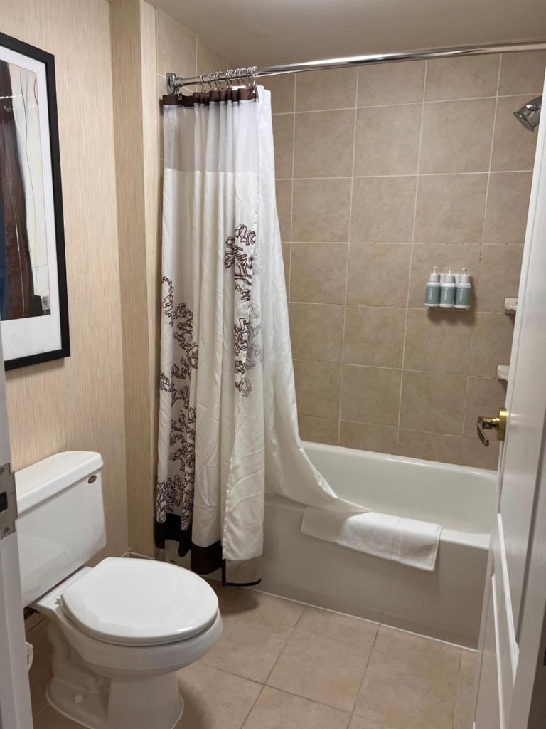 Queen bed available photo 1