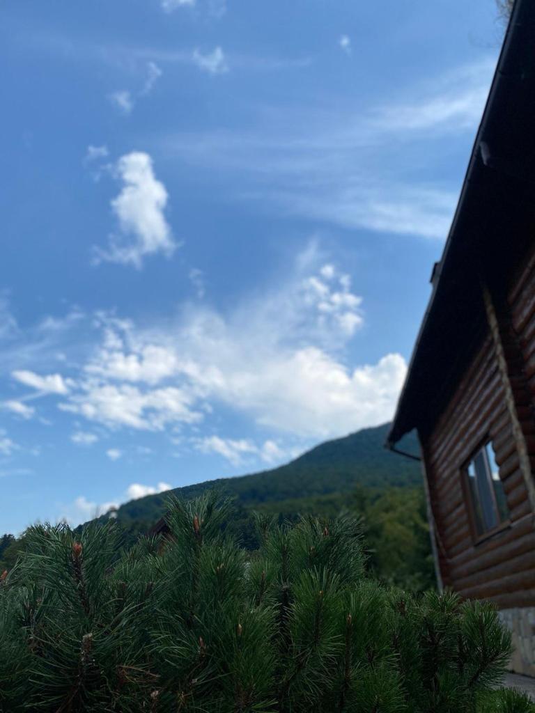Садиба Краєвських photo 2