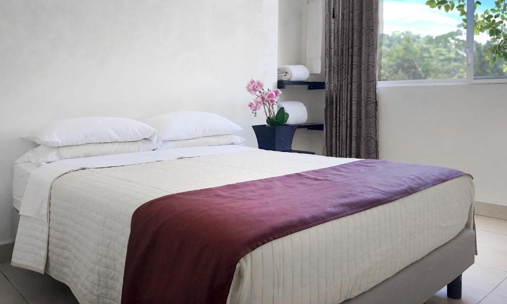 HOTEL AMAZON GREEN photo 1