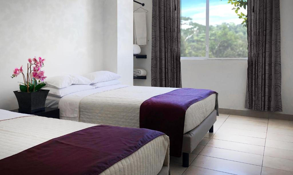 HOTEL AMAZON GREEN photo 4
