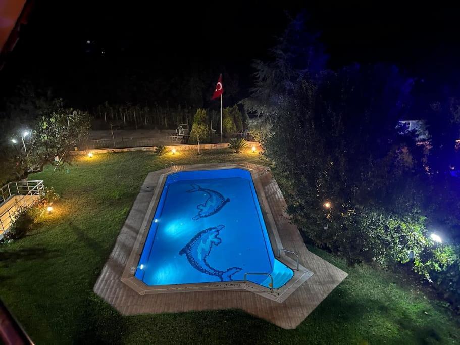 Villa Elysium photo 4