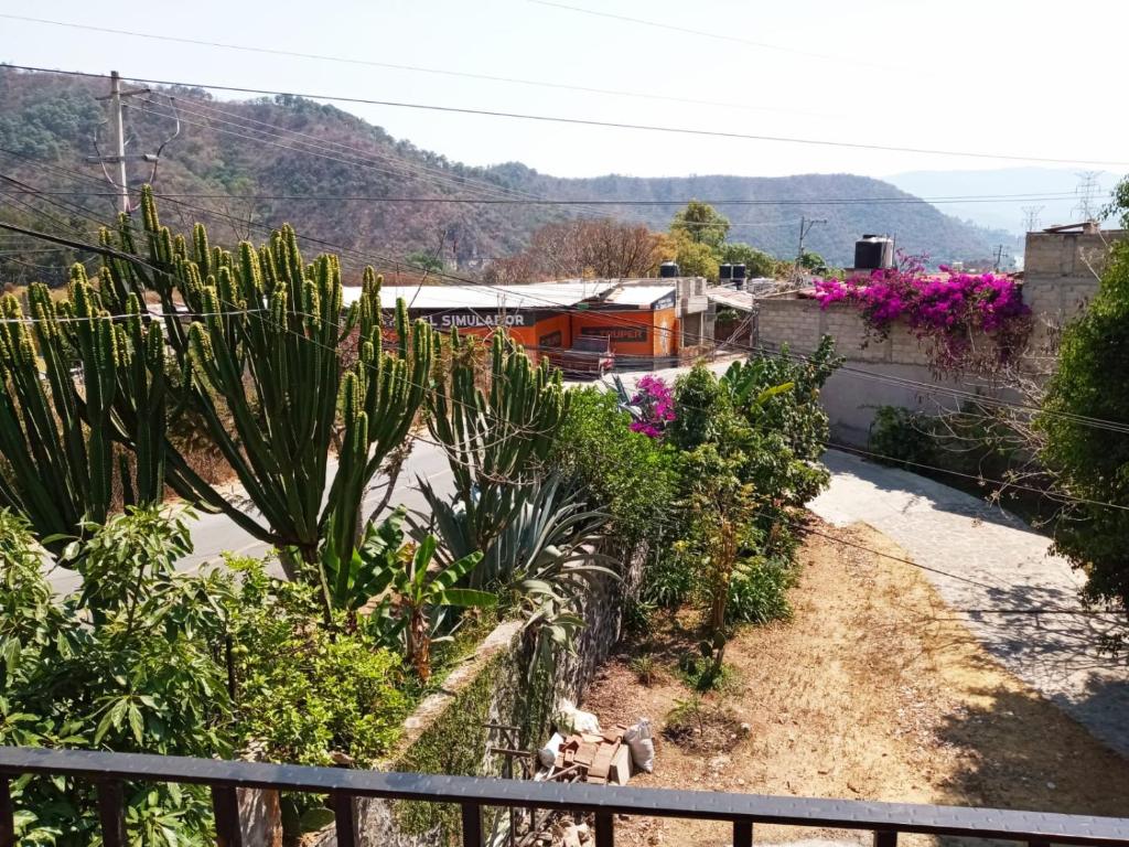 Posada Tia Miny photo 1