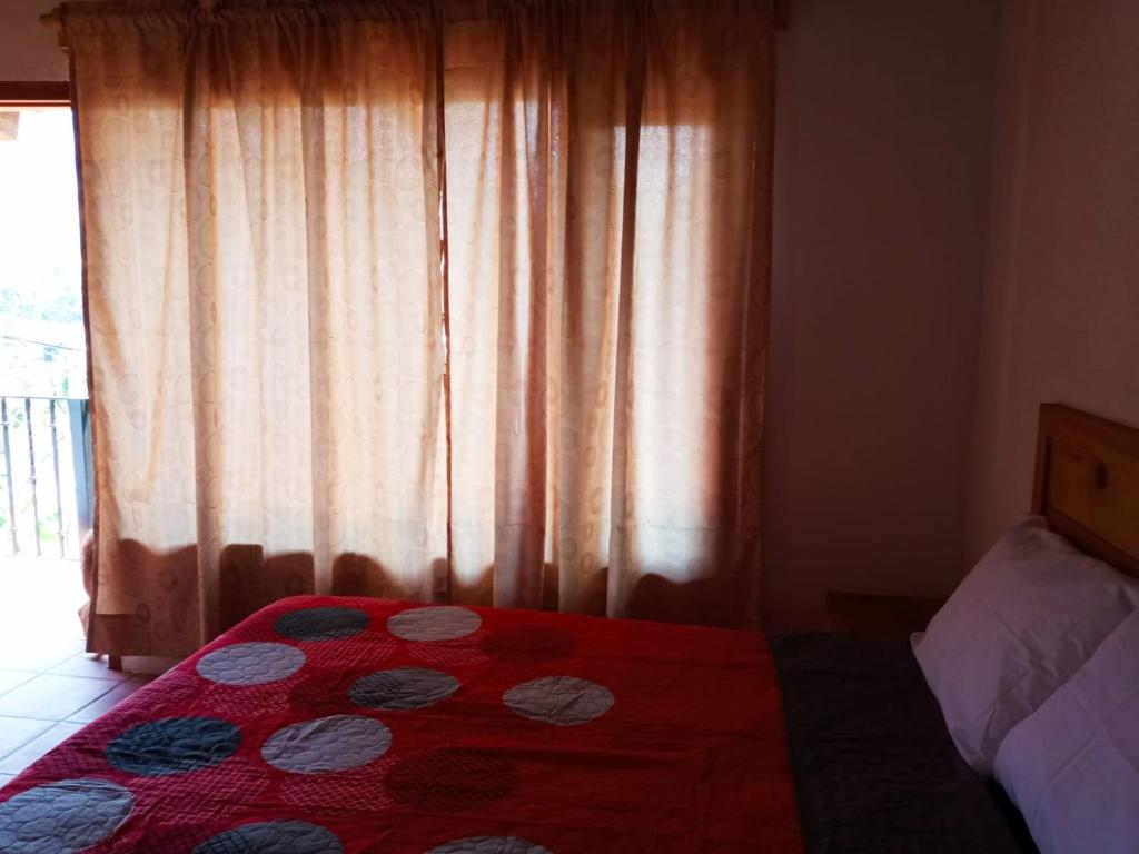 Posada Tia Miny photo 4
