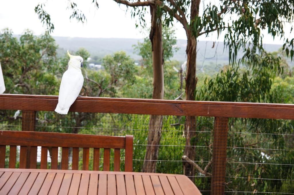 Tree Top Getaway photo 3