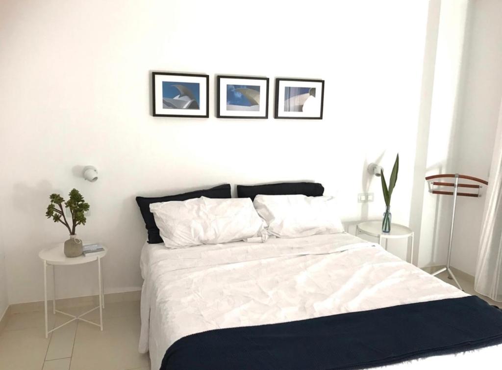 Casa Las Olas photo 2