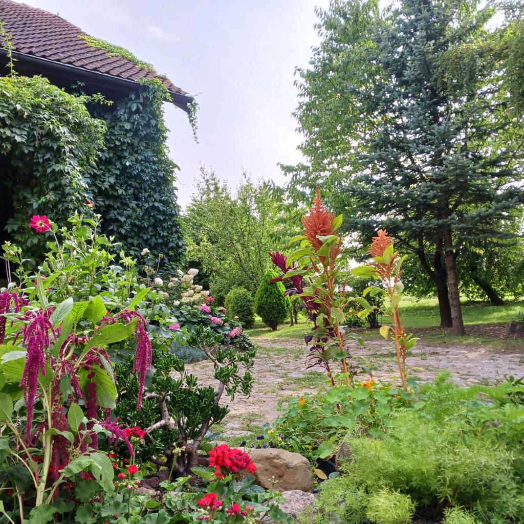 Agroturystyka Pod Dębem photo 3